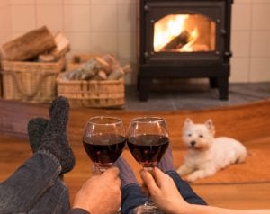 Wood Burner Or Multi-fuel Stove?